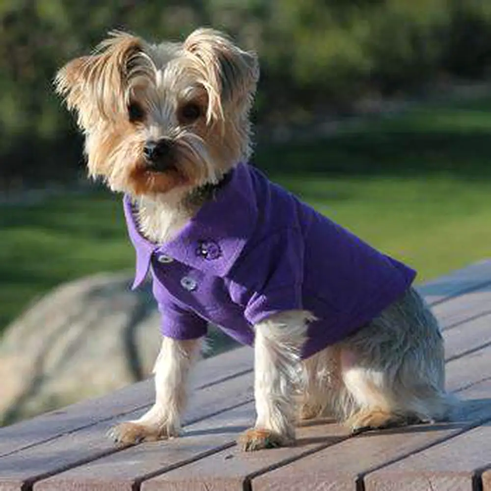 Solid Dog Polo - Ultra Violet